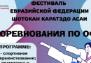 Открытый фестиваль Евразийской Федерации Шотокан Каратэдо Асаи