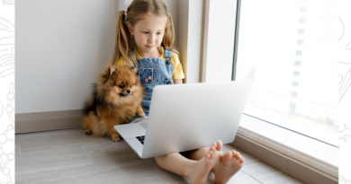 «Всем на свете нужен дом» – электронный образовательный ресурс реализации дополнительной программы естественно-научной направленности «Всем на свете нужен дом» – электронный образовательный ресурс реализации дополнительной программы естественно-научной направленности